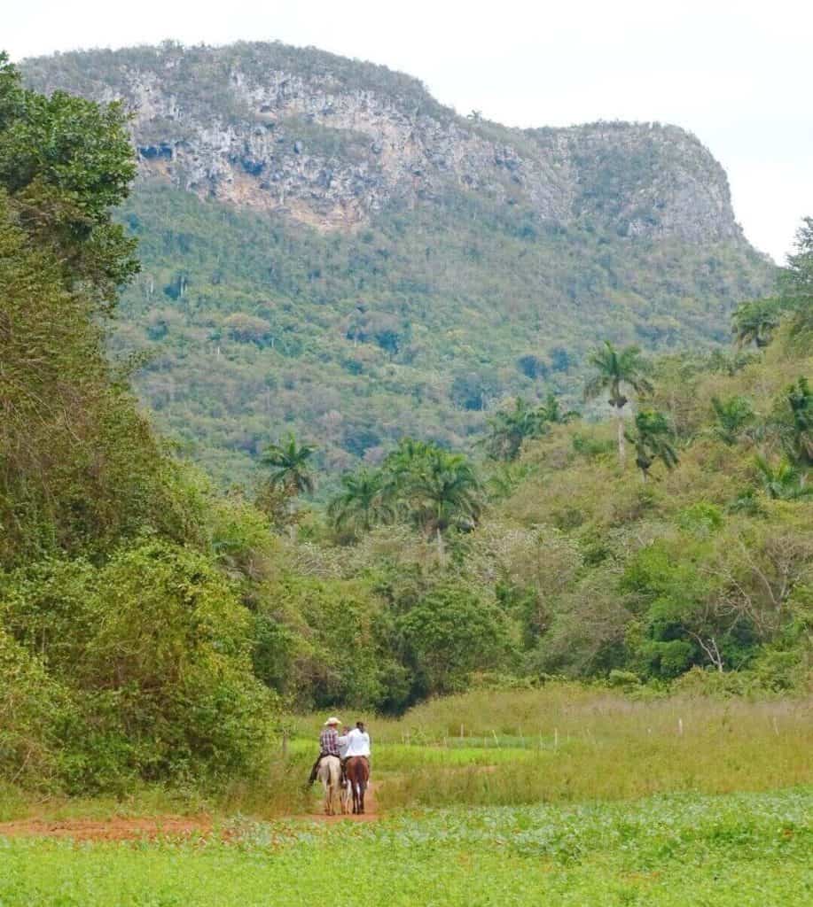 Horse riding Vinales day trip