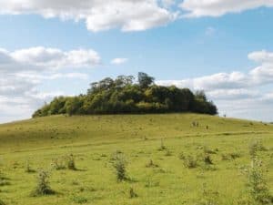 Wittenham Clumps