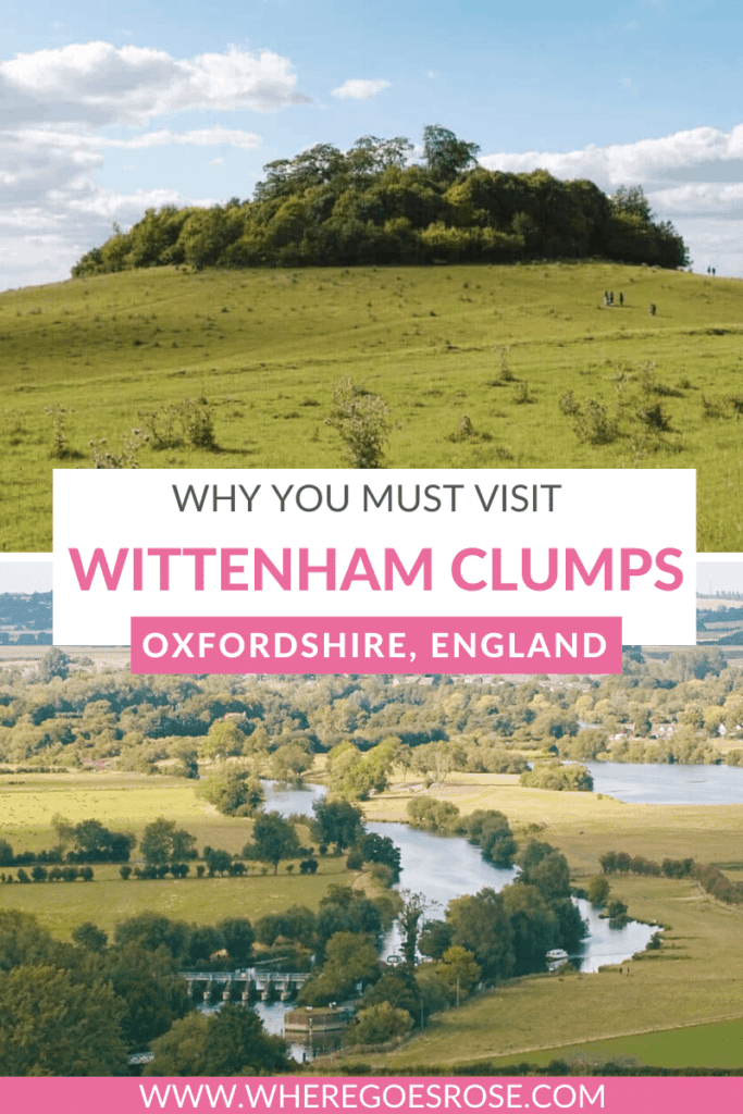 wittenham clumps