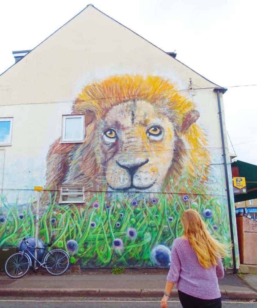 Lion street art Catherine street 