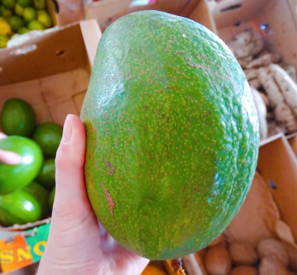Giant avocado in Little Havana fruit shop