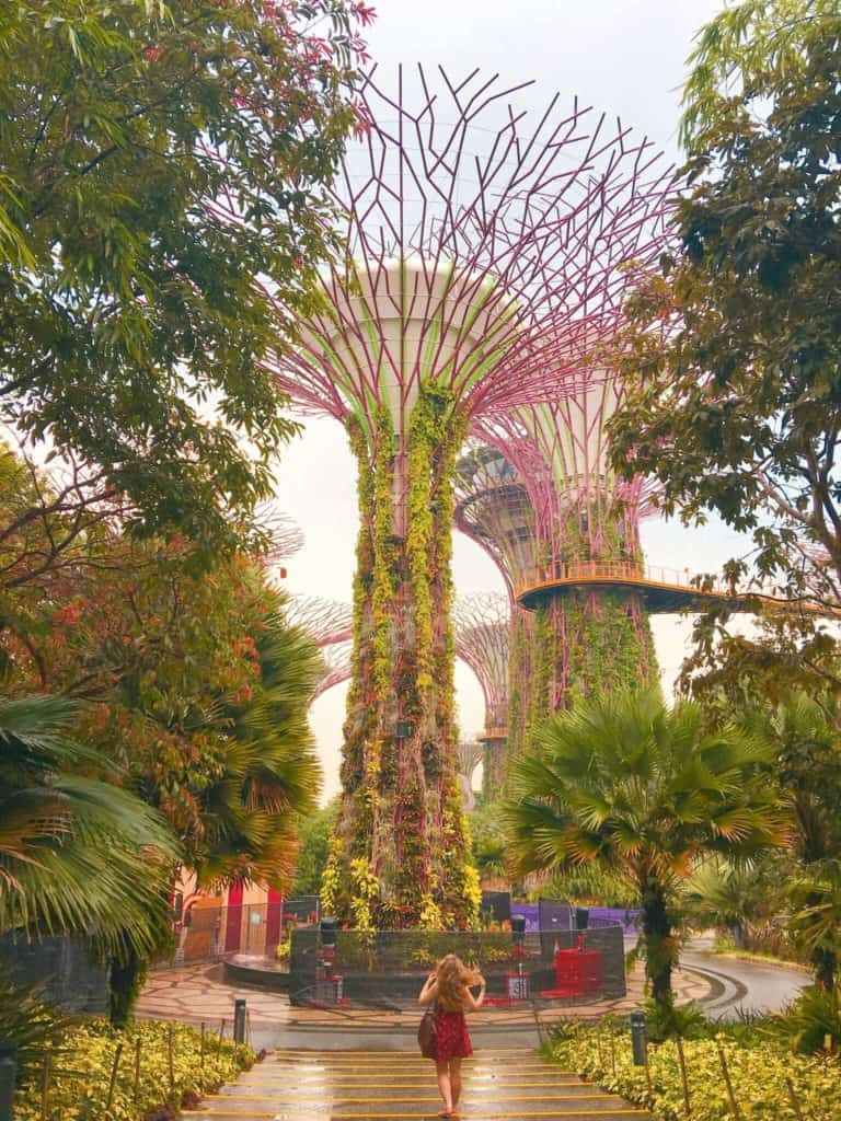 Gardens by the Bay Southeast Asia 