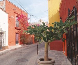 Getting to San Miguel de allende mexico