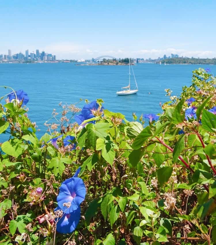 Hermitage Foreshore track Sydney