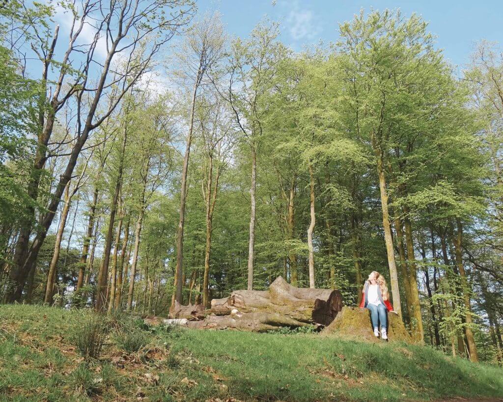 Pollok Country Park