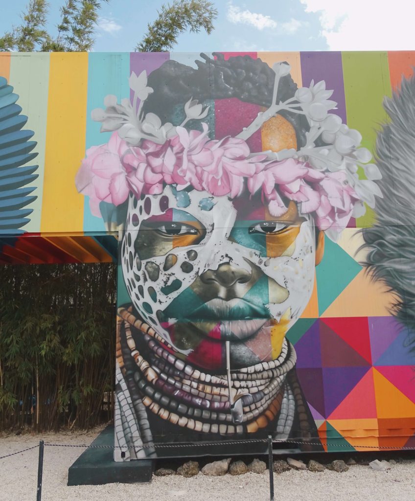 Kobra street art Wynwood Walls 