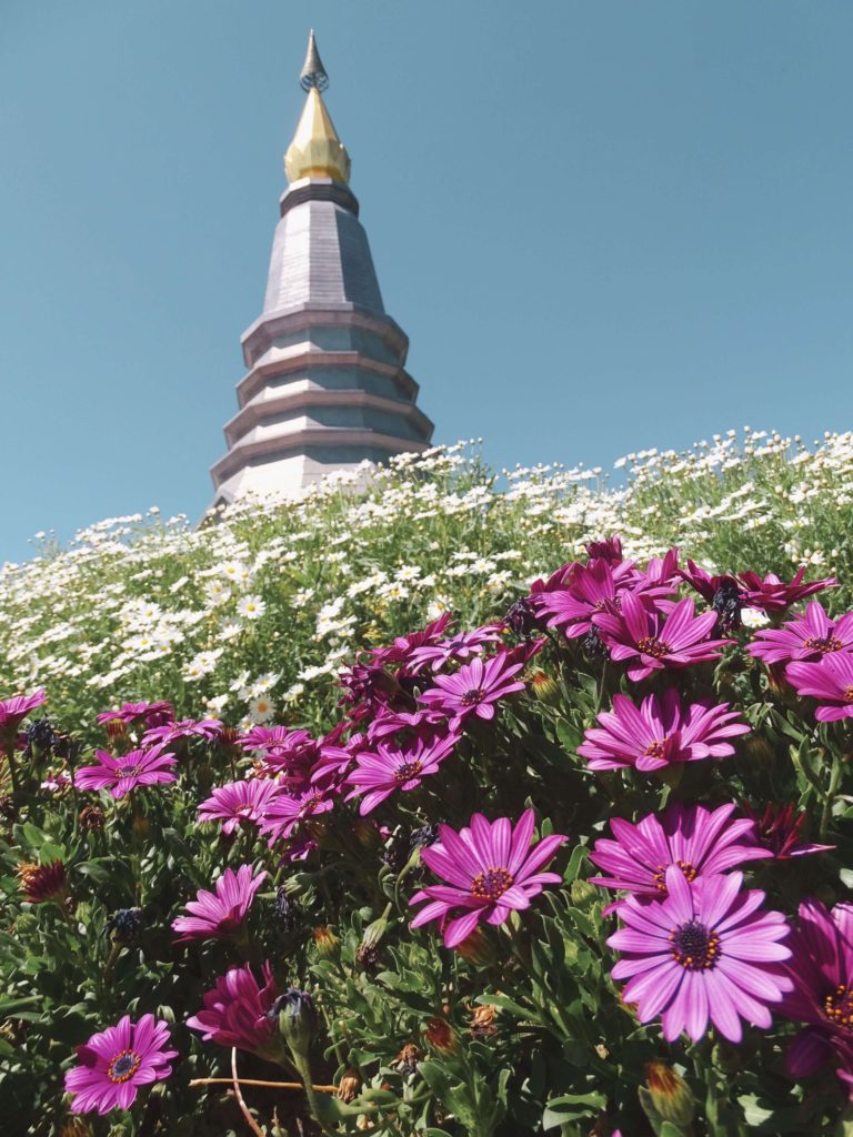 Temple near Chiang Mai fun facts about Thailand 