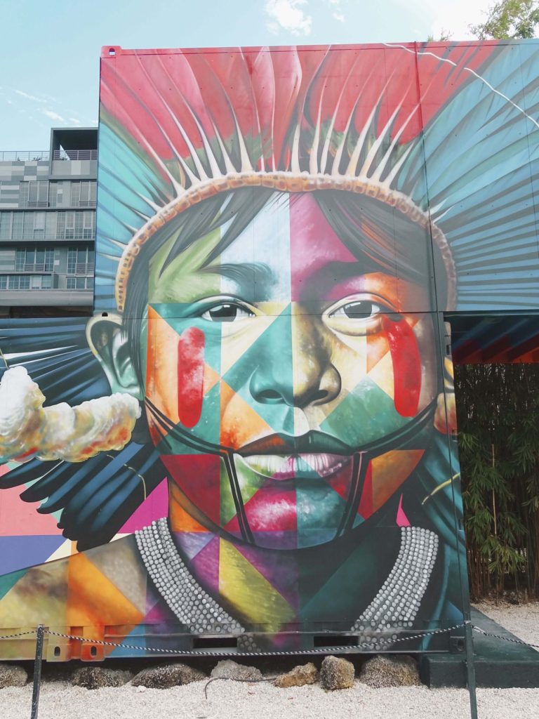 Street art Native American child Kobra