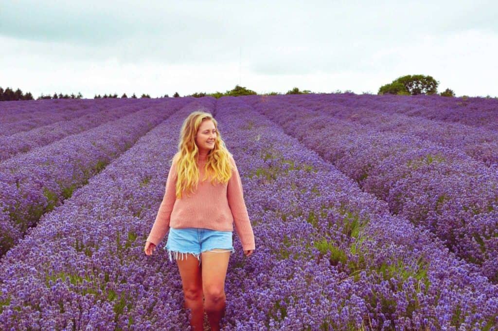 Cotswold lavender best places to go Cotswolds