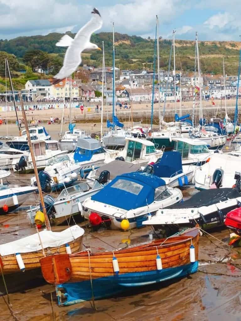 Lyme Regis beach itinerary Dorset 