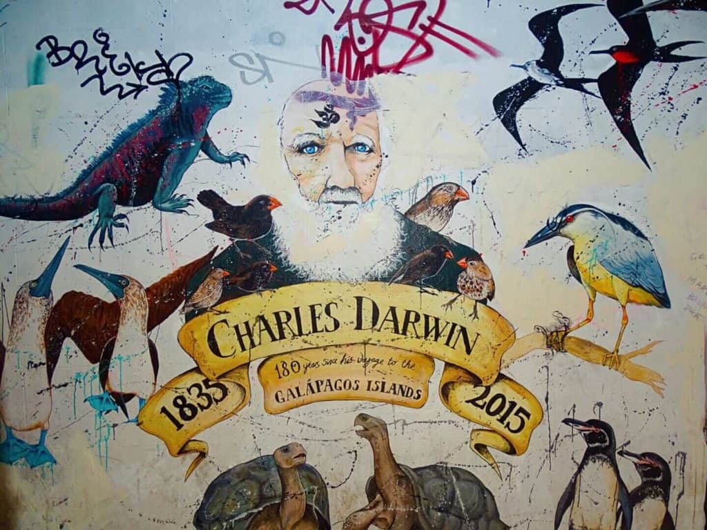 Galapagos mural