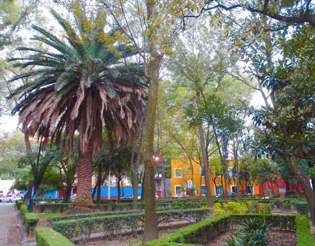 Green park Coyoacan Mexico City