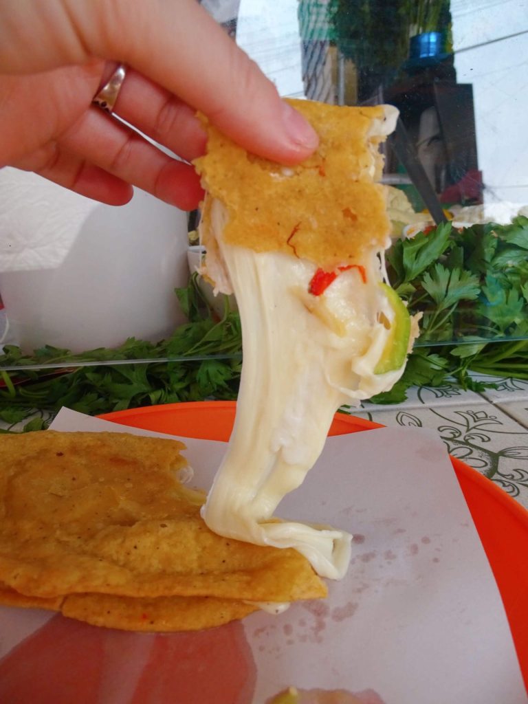 Cheese quesadilla what to eat in Mexico