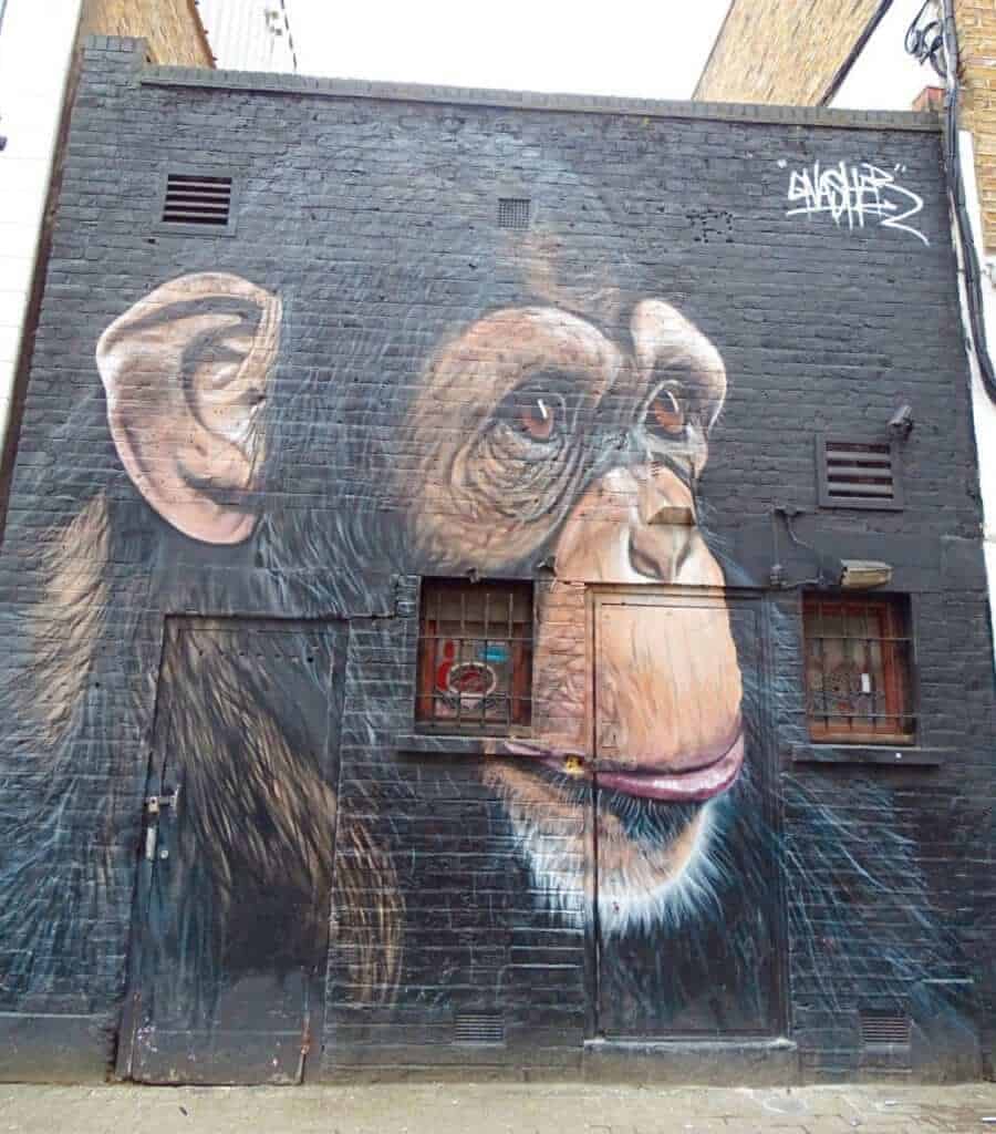 Monkey street art camden