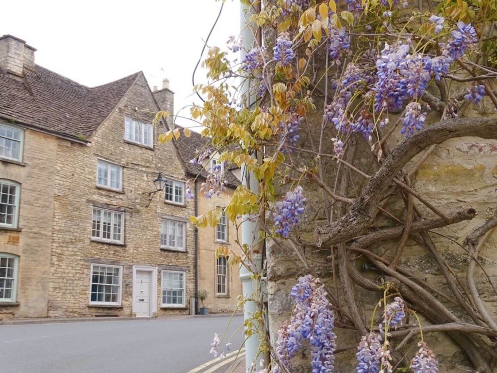 Wisteria things to do tetbury