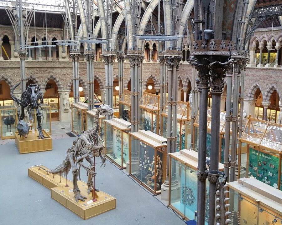 Natural History Museum