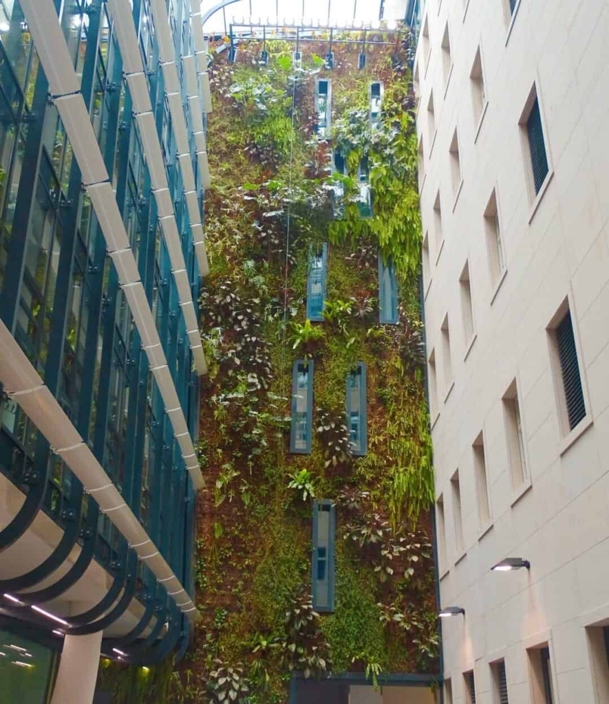 Plants growing up building at Špejle Prague