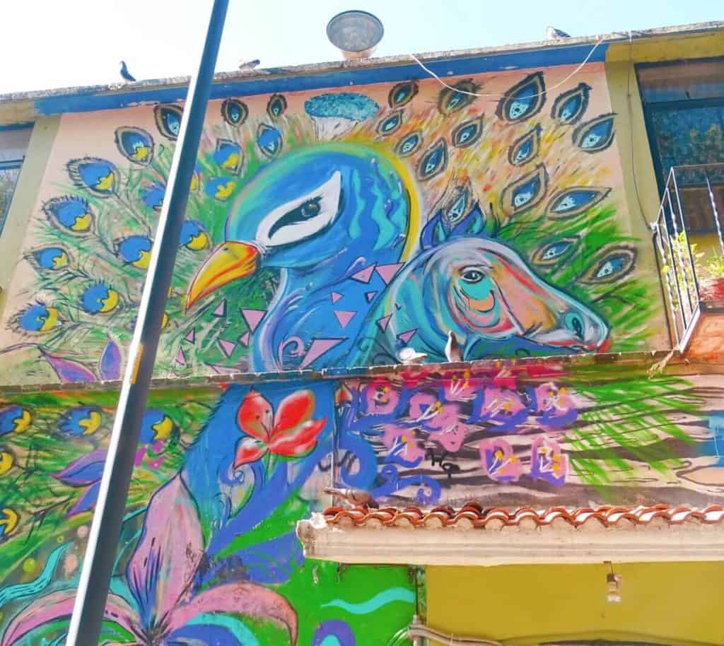 Peacock and horse street art PueblaStreet art near the Secret Tunnels
