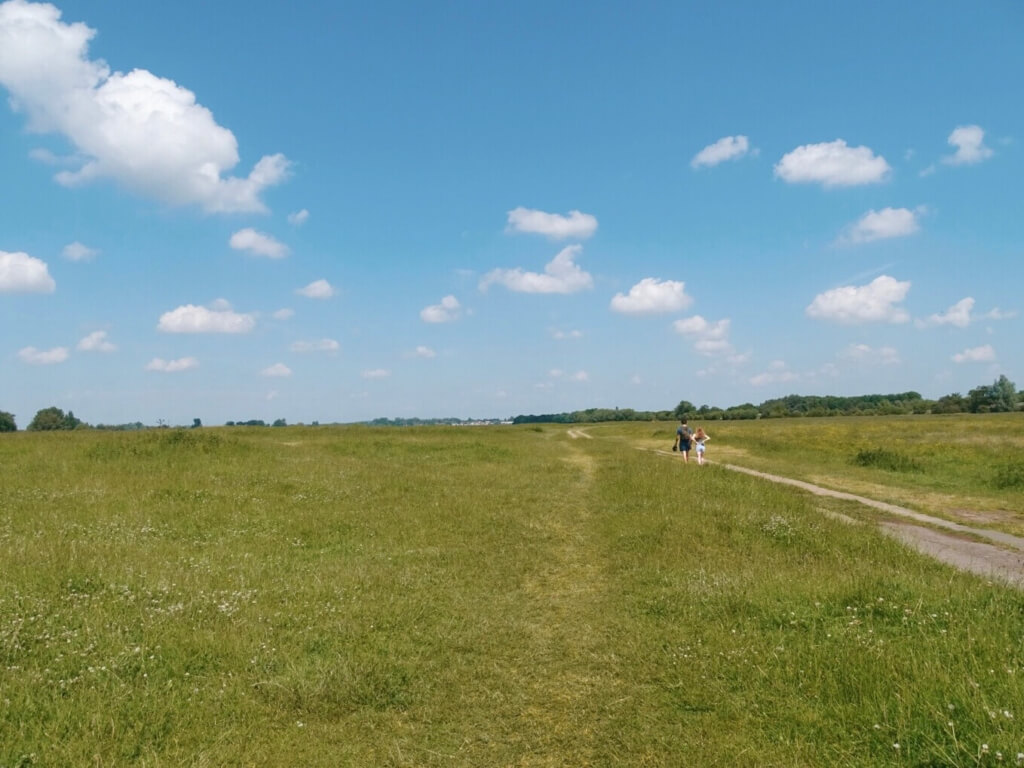 port meadow