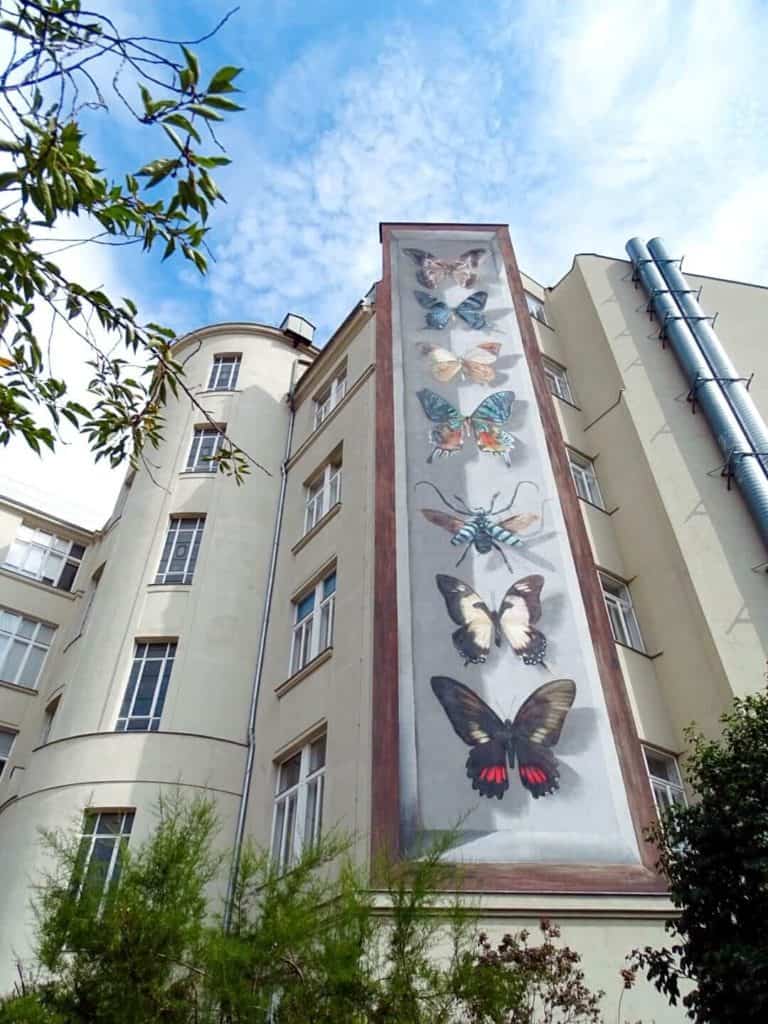 Butterfly street art Vienna