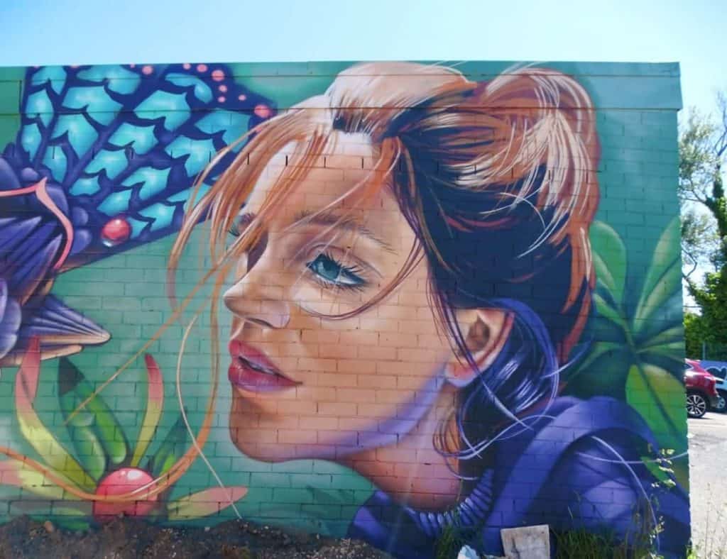 Street Art Walk Katoomba Blue Mountains 