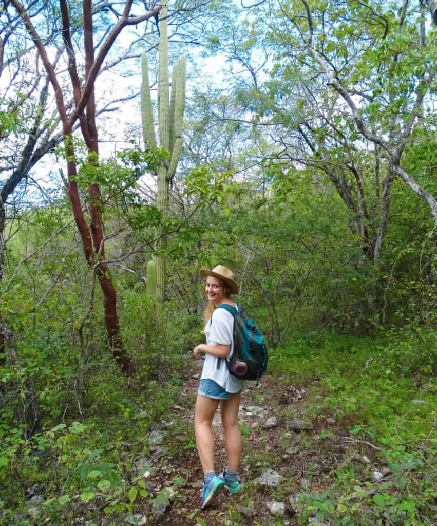 Forest walk Hierve el Agua