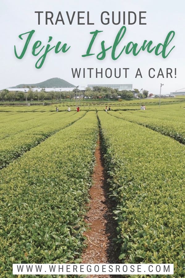 jeju island without hiring a car