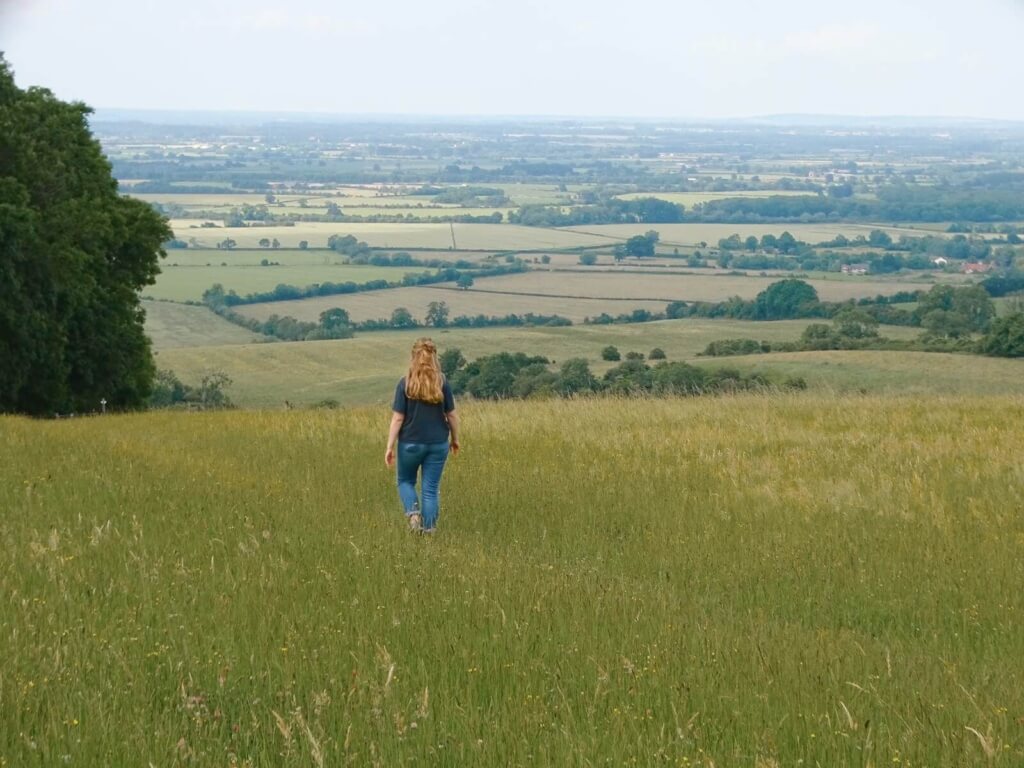 white horse walk