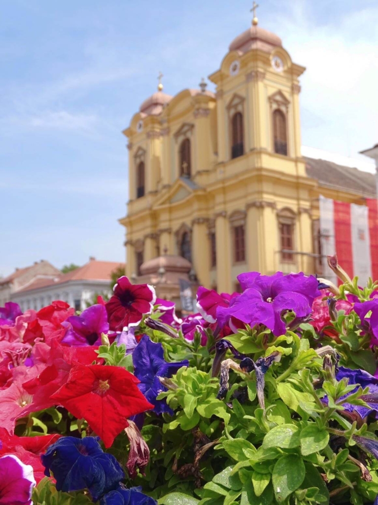 George church timisoara activities