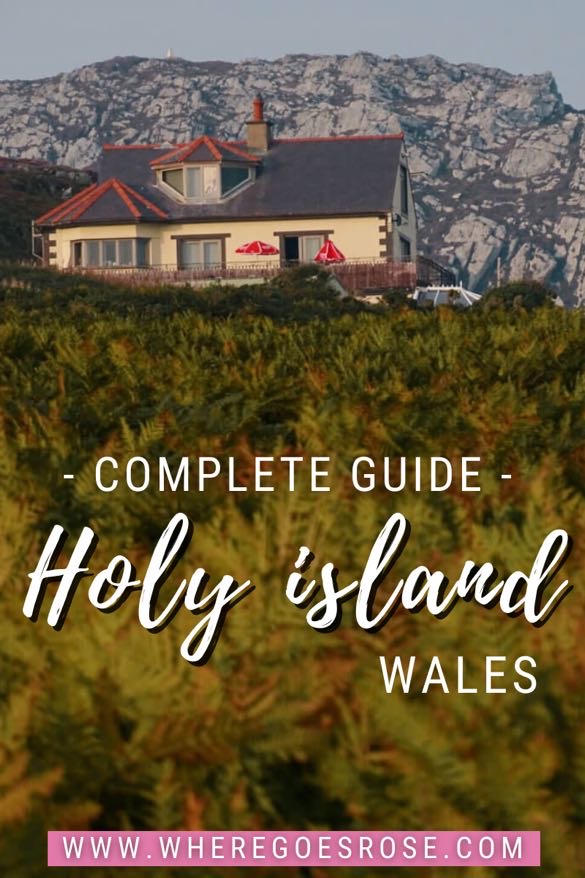 what to do holy island wales