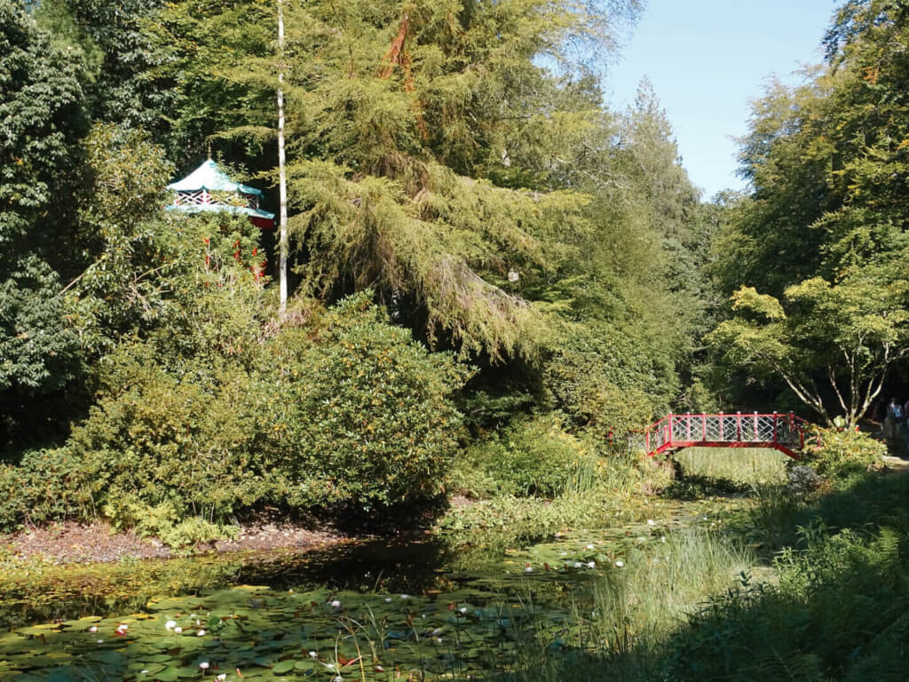  Japanese Gardens