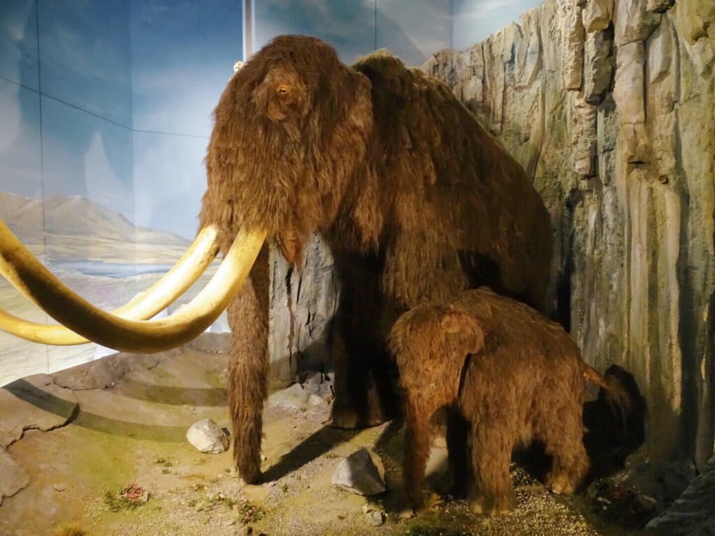 Woolly mammoth museum cardiff day trip from london