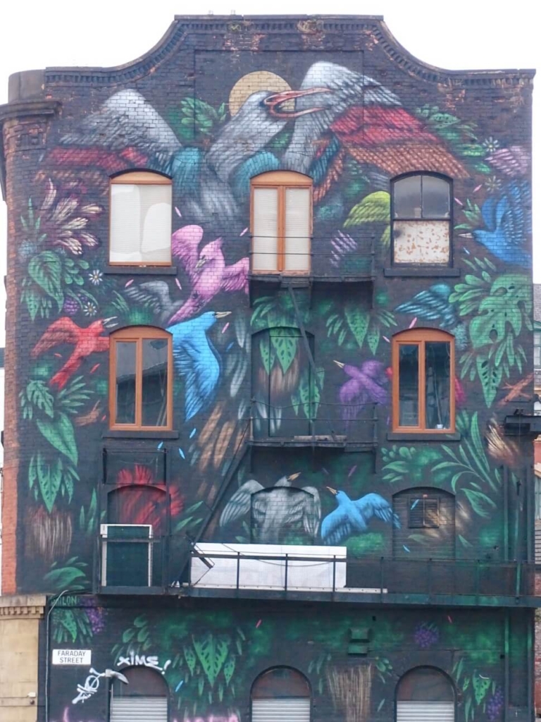 bird street art house