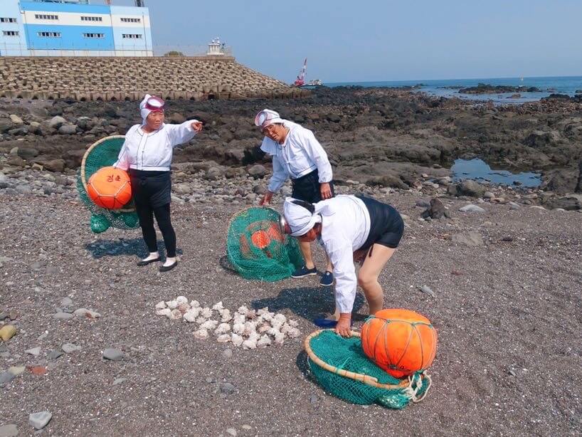 Haenyeo women divers Jeju Island 