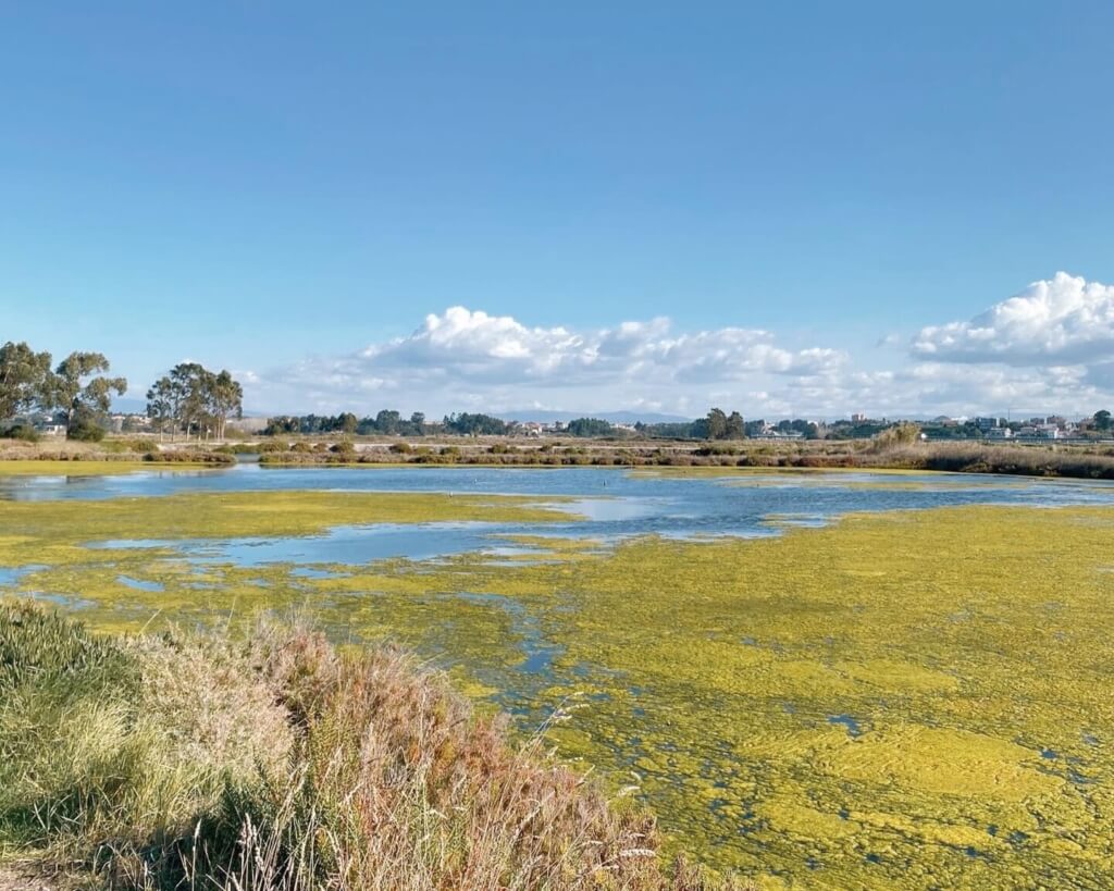 Passadiços Ria de Aveiro