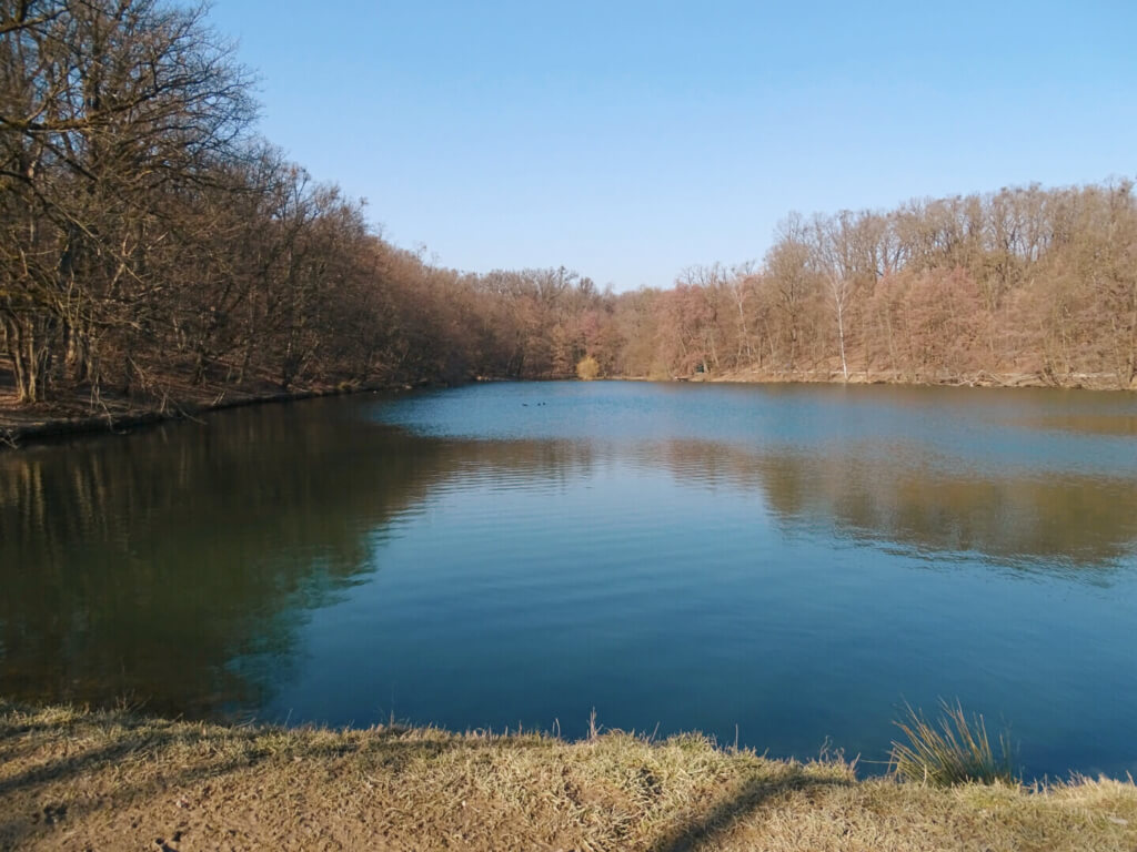 Park Maksimir lake