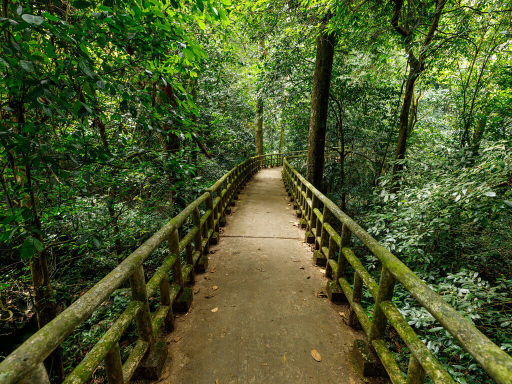 Cuc Phuong National Park 