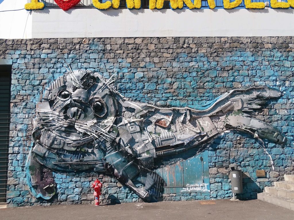 bordallo ii seal mural