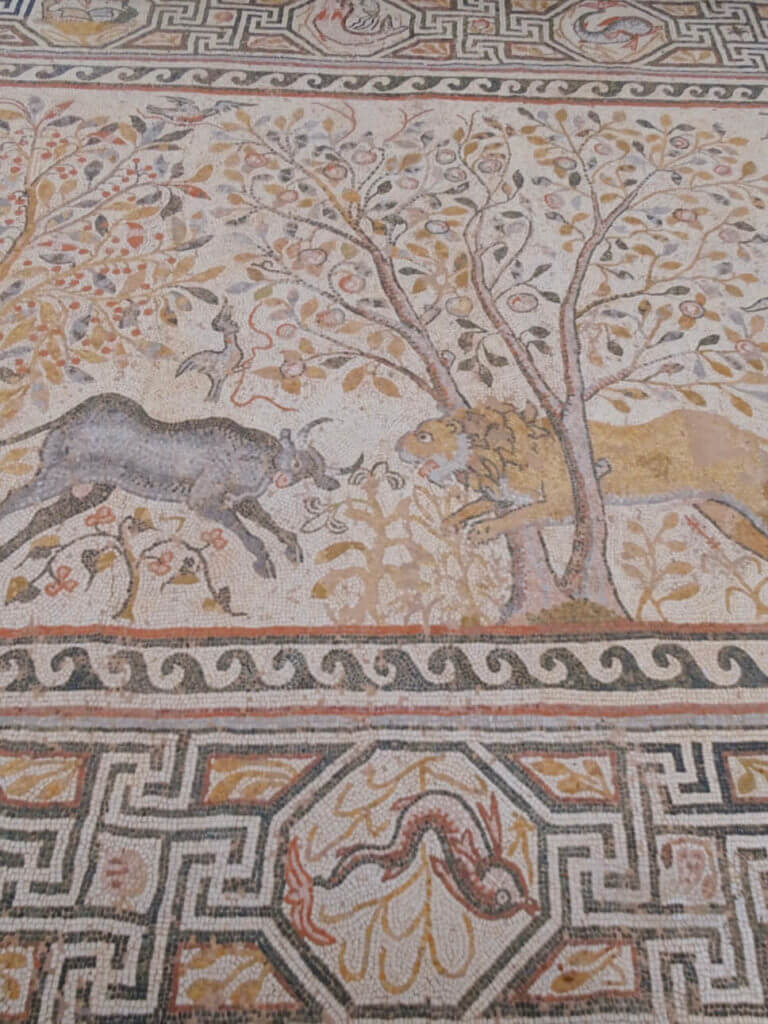 Heraclea Lyncestis mosaic