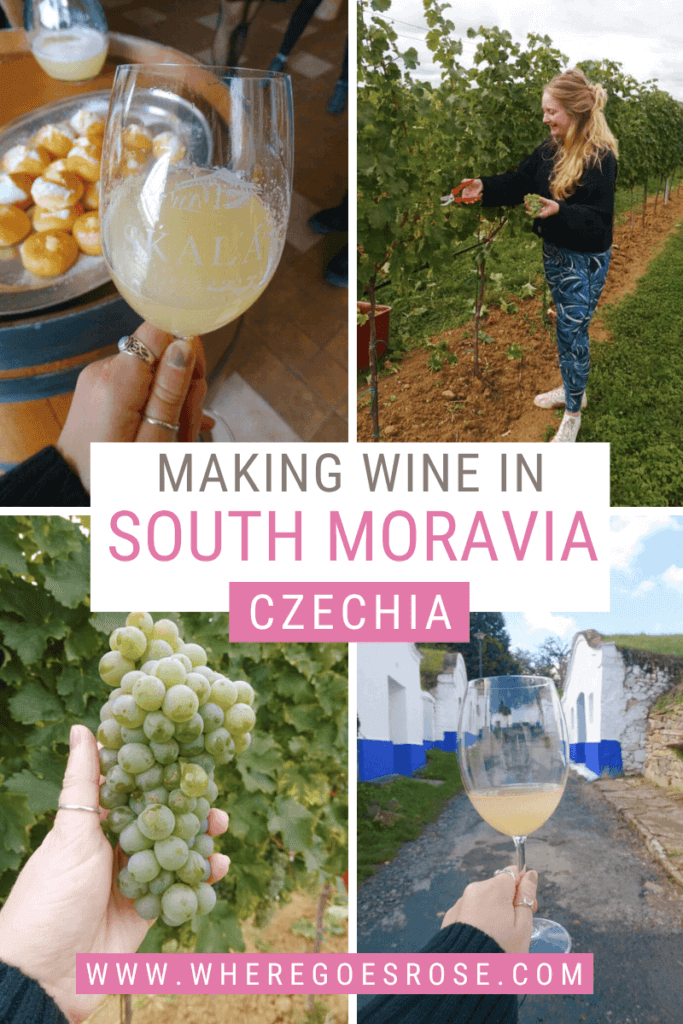 wine making czechia