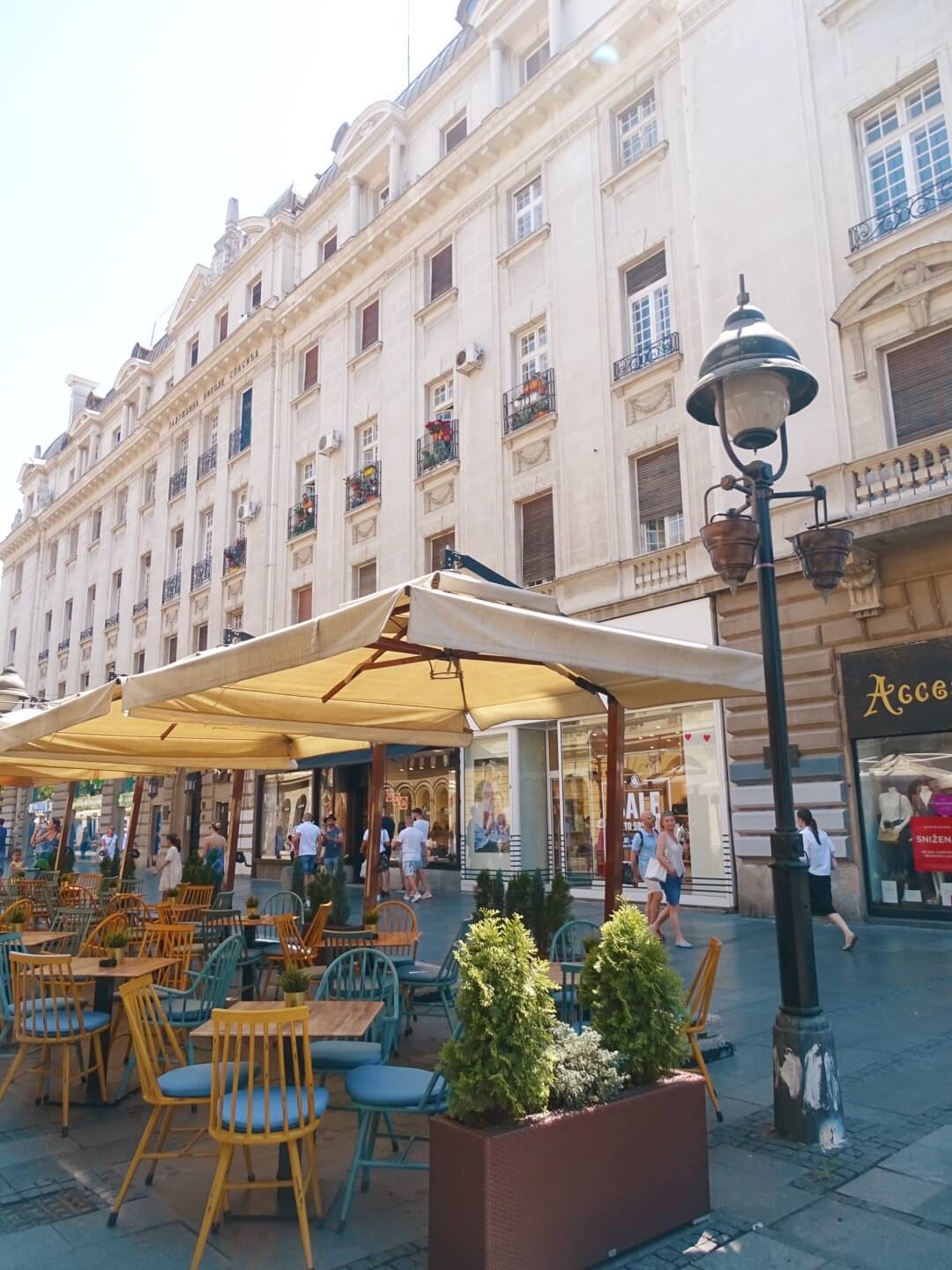 Is Belgrade Worth Visiting? Pros and Cons! Where Goes Rose?