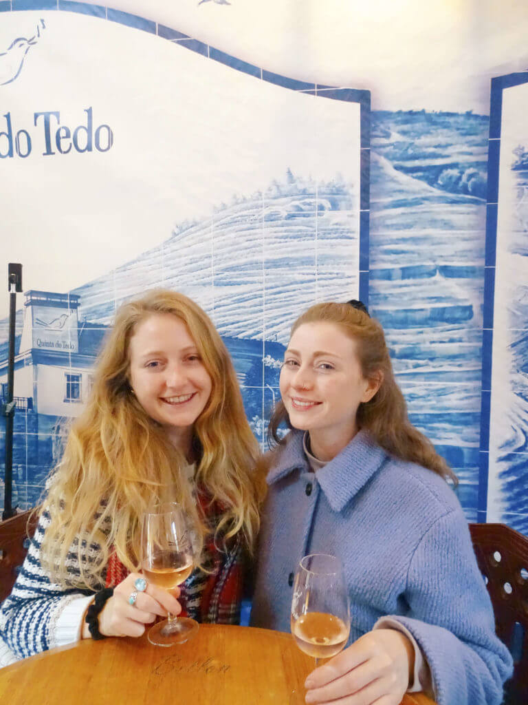 Wine tasting during Douro valley day tour