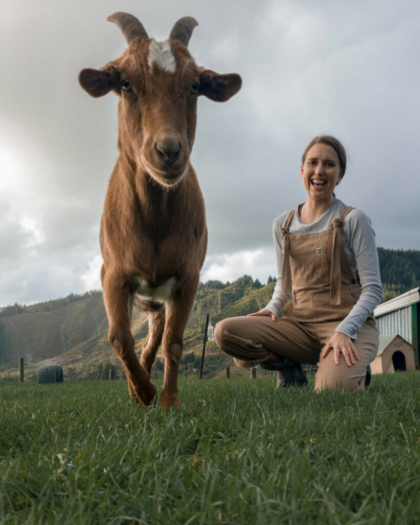 volunteering with goats