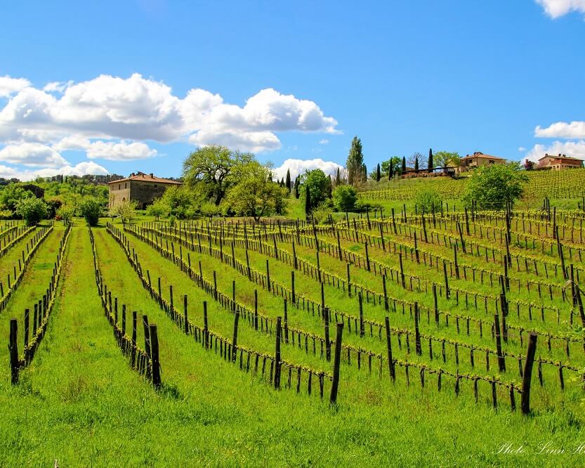 Tuscany