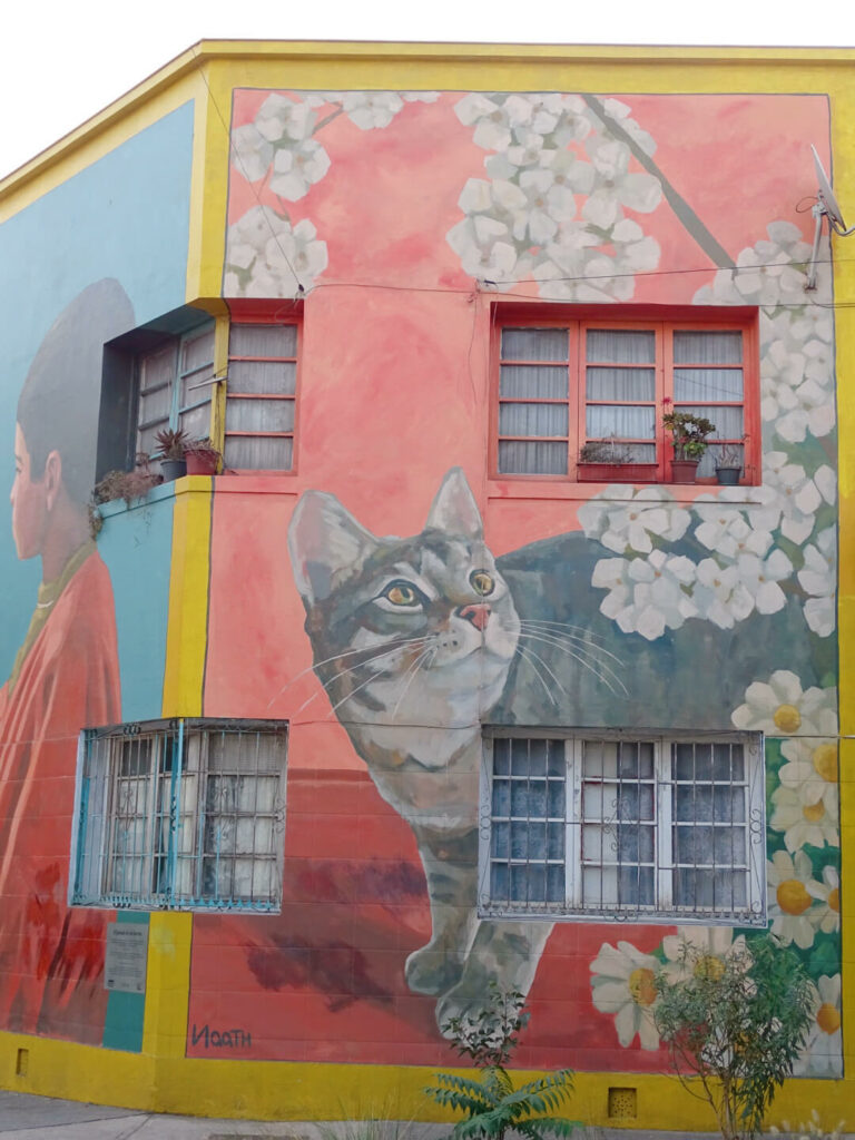 Street art santiago