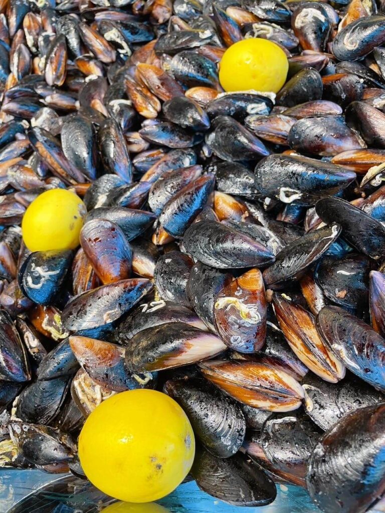 Midye dolma stuffed mussels