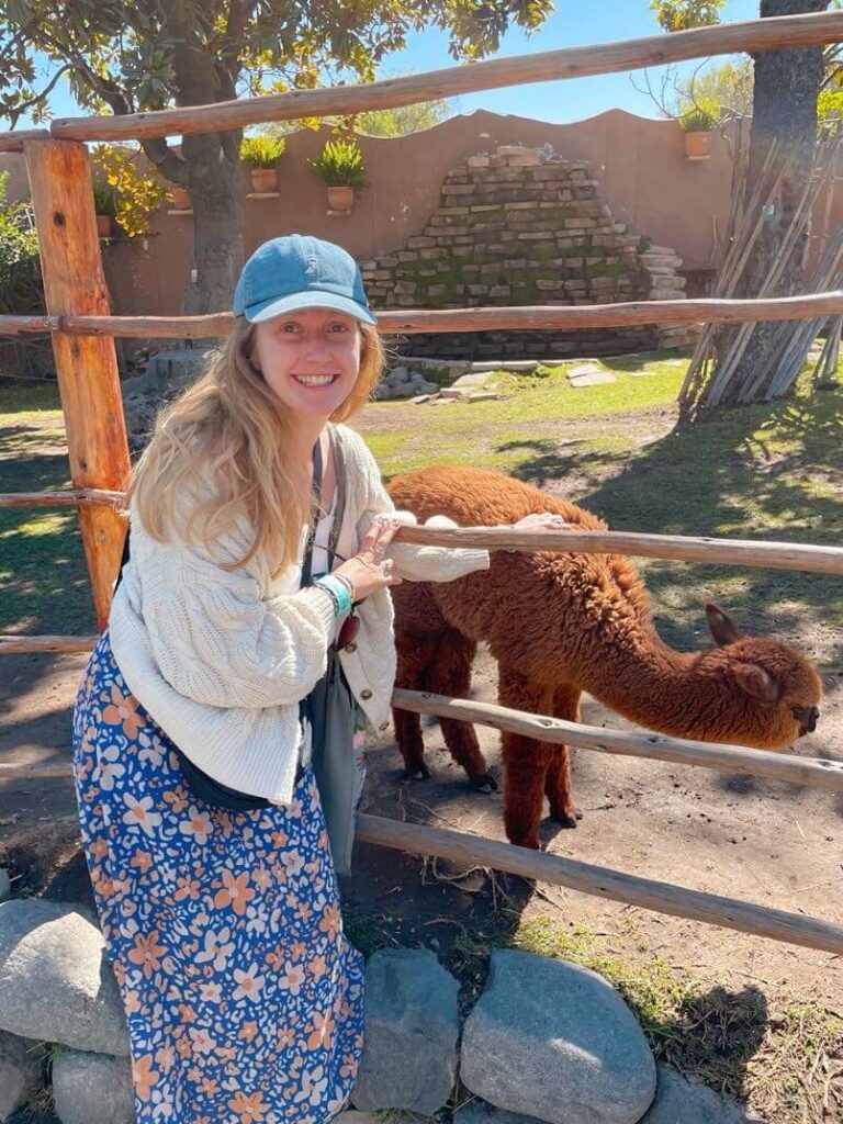 Alpaca 