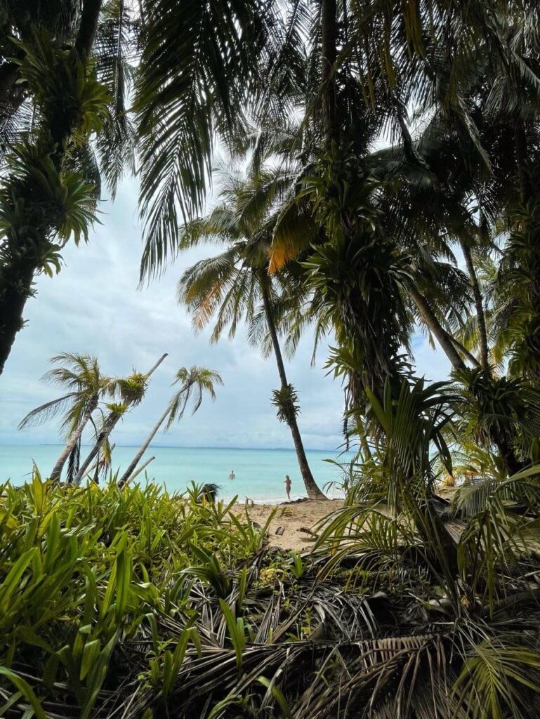 Zapatilla Island