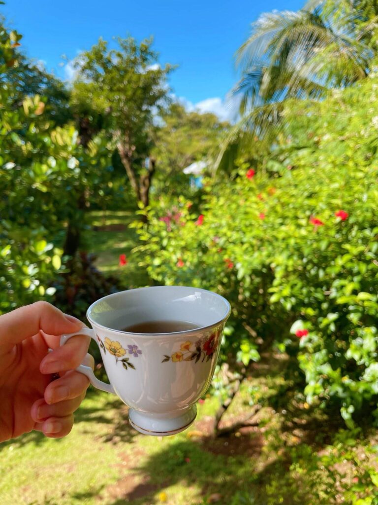 Tea yoga class