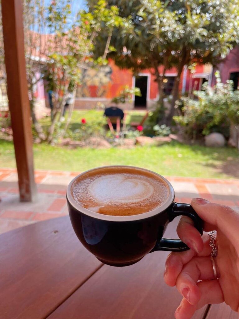 Typica cafe sucre 